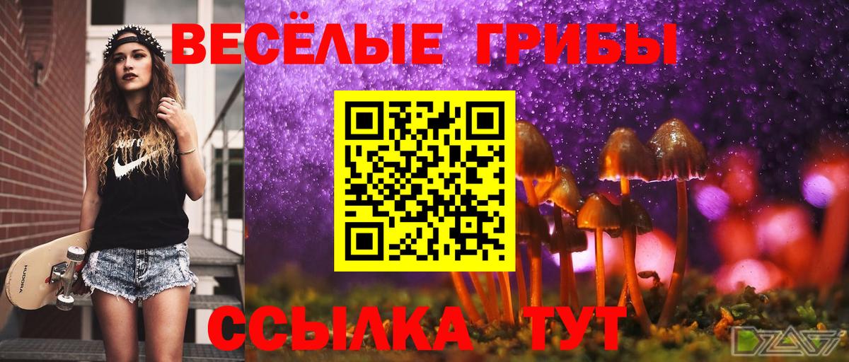 Галлюциногенные грибы мухоморы  Вход с VPN  Псилоцибиновые грибы Magic Shrooms  где купить наркоту  Курчалой 