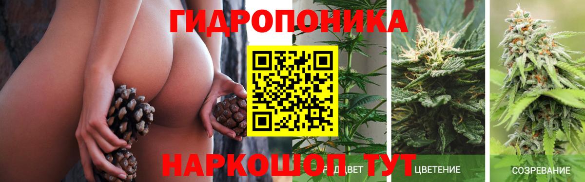 Каннабис THC 21% Курчалой